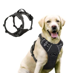 Funkeen Hundegeschirr für Kleine, mittelgroße und große Hunde Anti Zug Geschirr No Pull Sicherheitsgeschirr Brustgeschirr Dog Harness Weich Gepolstert verstellbar Atmungsaktiv...