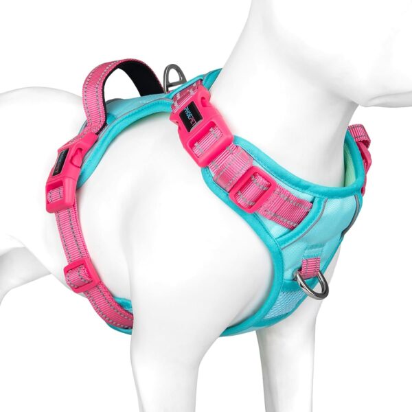PHOEPET Anti-Zug Hundegeschirr verstellbar mit Reflektoren | Trainingsgriff & Metallclips für alle Hundegrößen(M,Minzgrüne Basis & Pinke Träger)